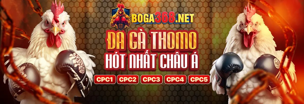 Hình ảnh quy tắc đặt cược và sự minh bạch trong trò chơi cau kubet